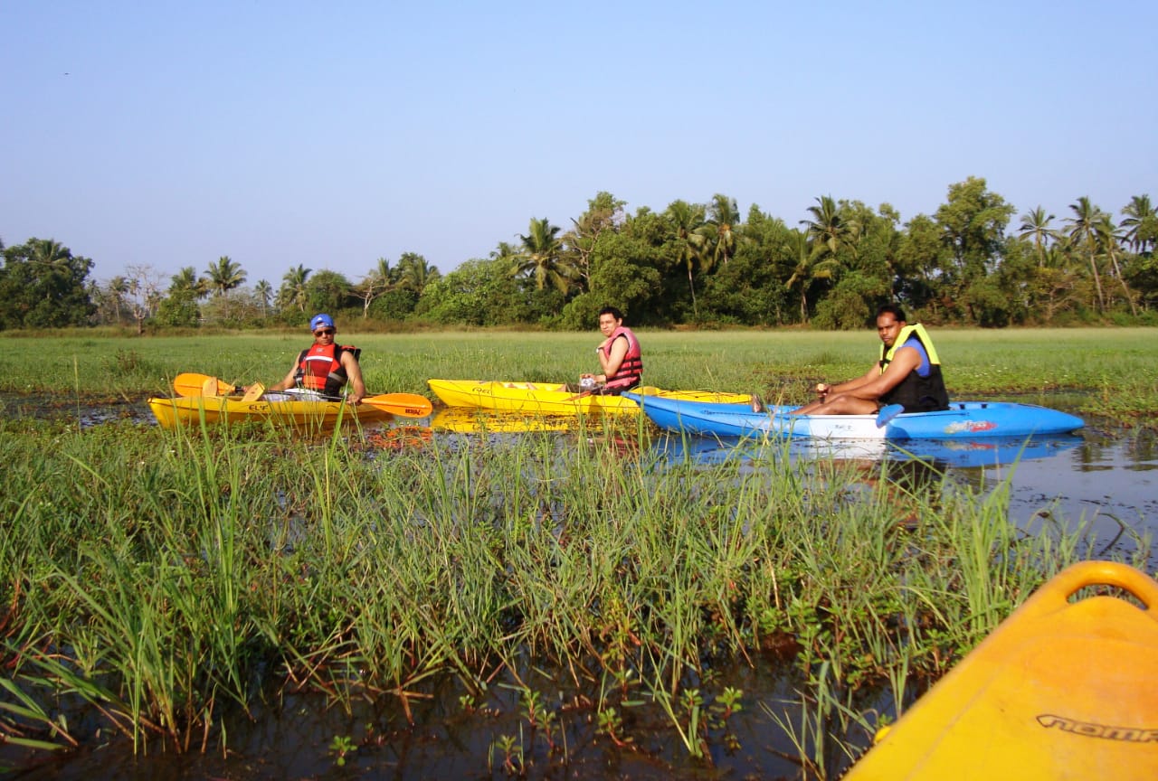 Activity Photo 2