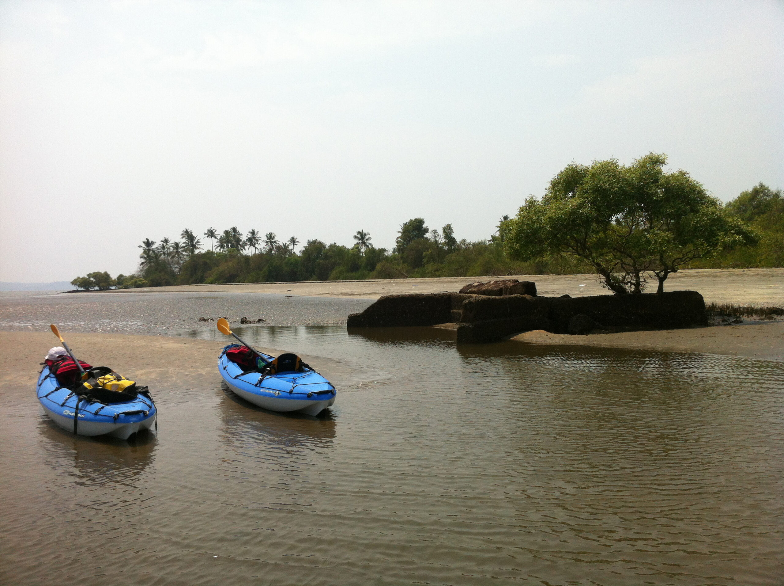 Activity Photo 5