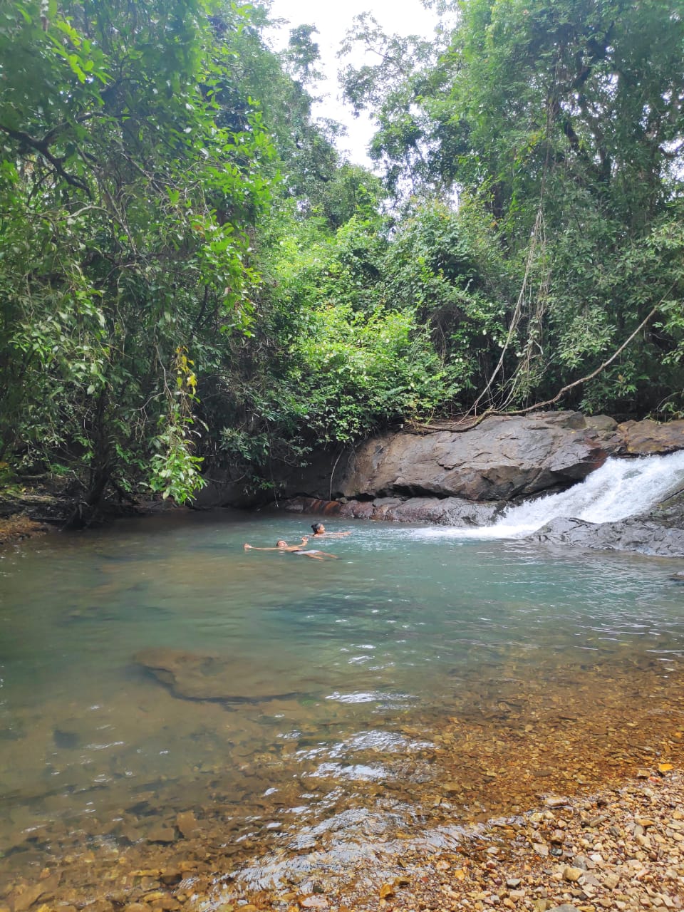 Activity Photo 4