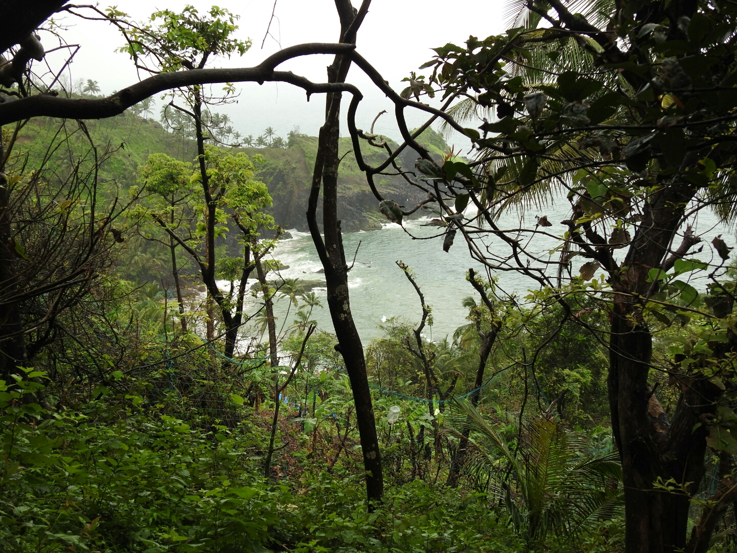 Activity Photo 2