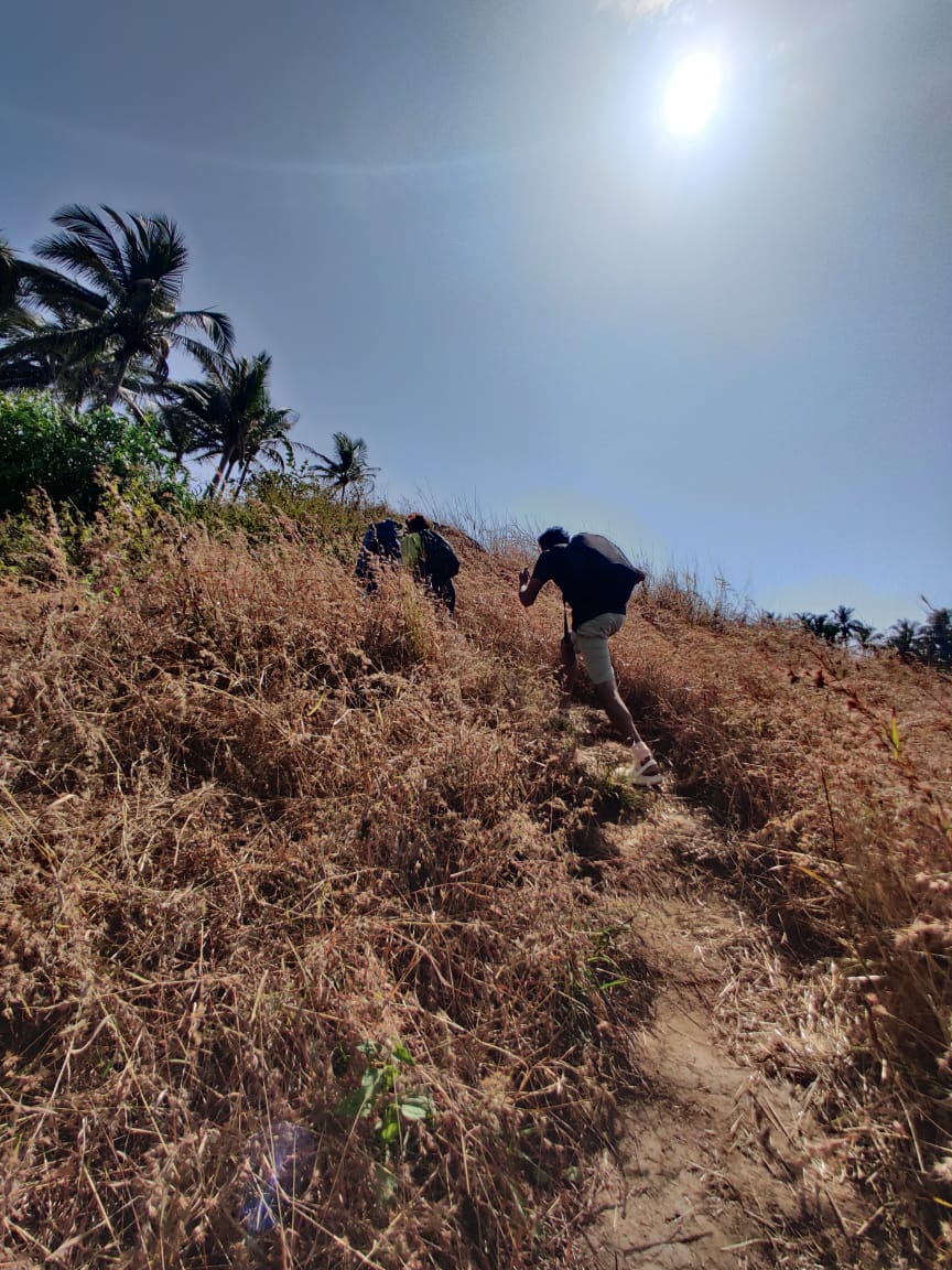Activity Photo 5