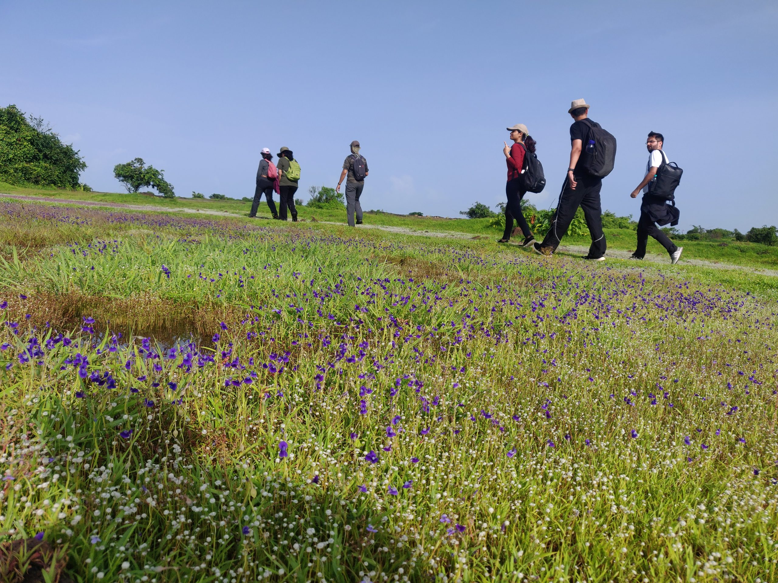 Activity Photo 2