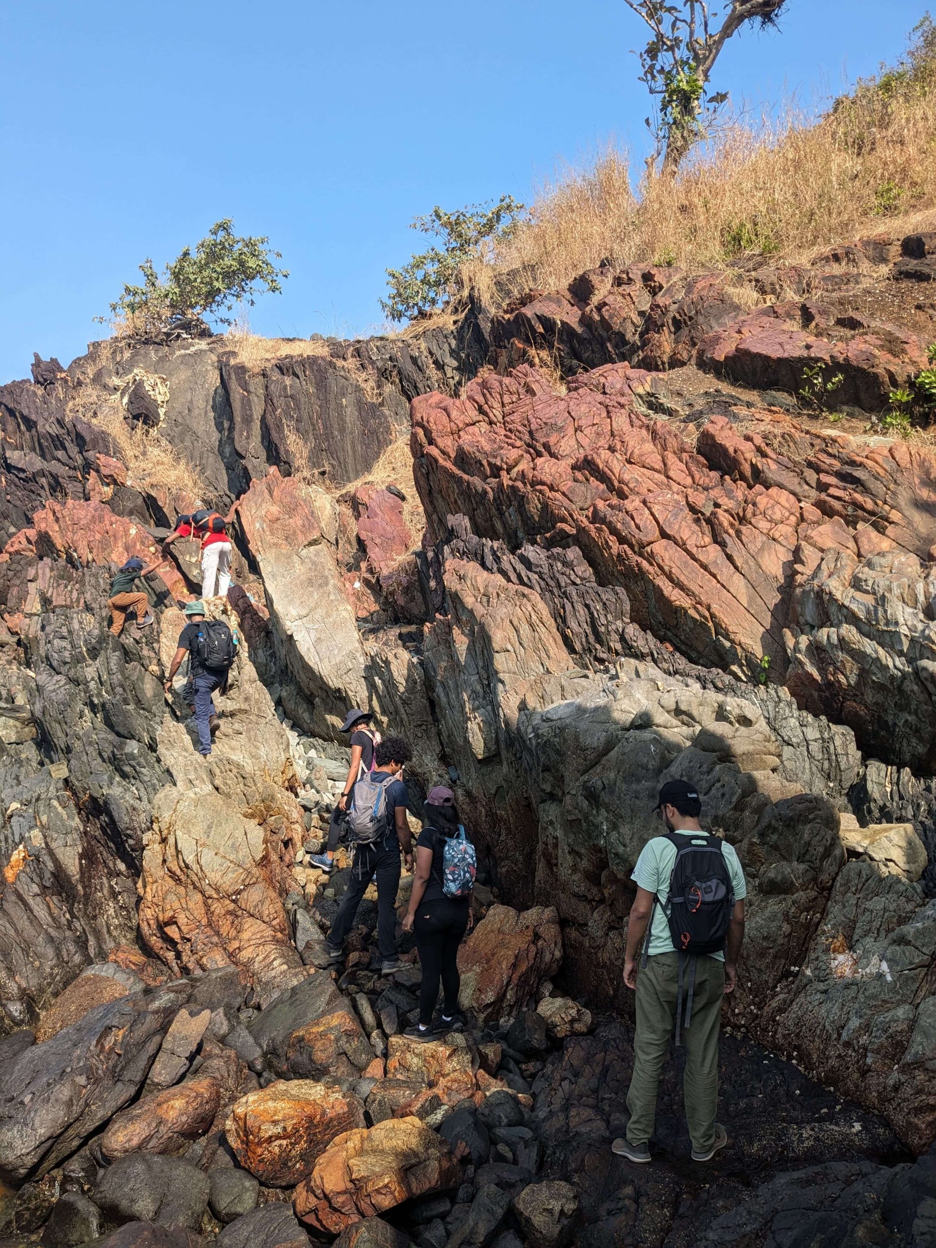 Activity Photo 5