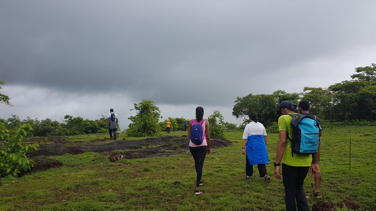 Activity Photo 2